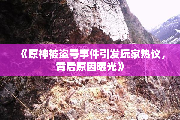 《原神被盗号事件引发玩家热议，背后原因曝光》