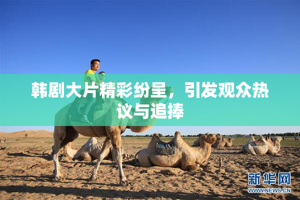 韩剧大片精彩纷呈，引发观众热议与追捧