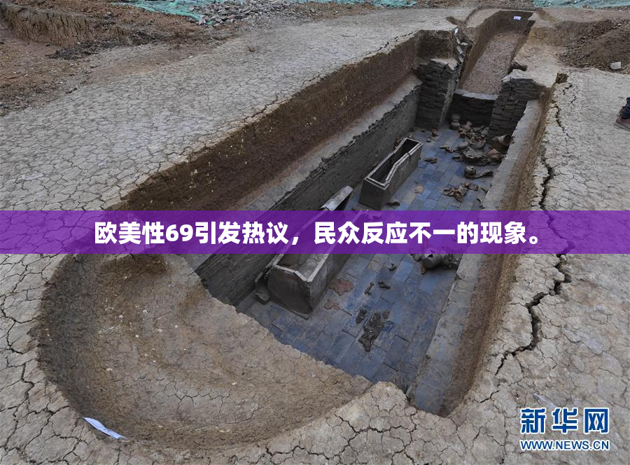 欧美性69引发热议，民众反应不一的现象。