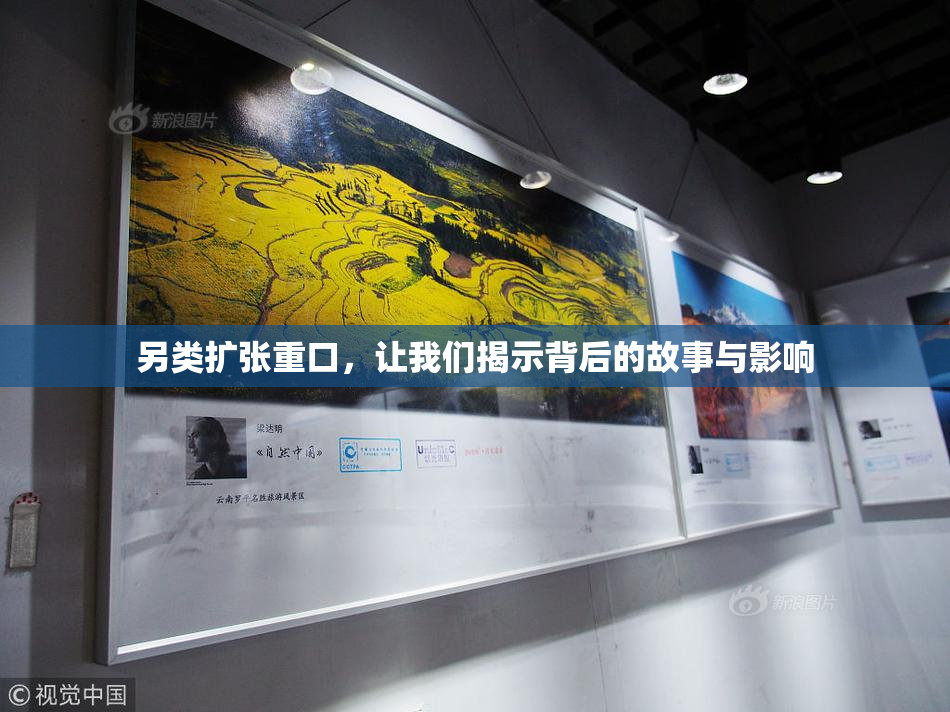 另类扩张重口，让我们揭示背后的故事与影响