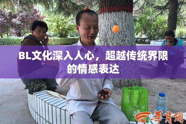 BL文化深入人心，超越传统界限的情感表达