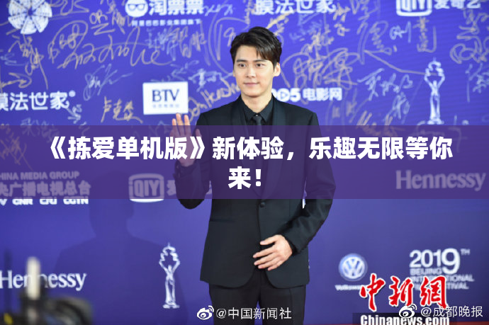 《拣爱单机版》新体验，乐趣无限等你来！