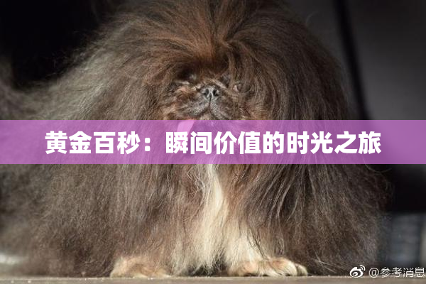 黄金百秒：瞬间价值的时光之旅