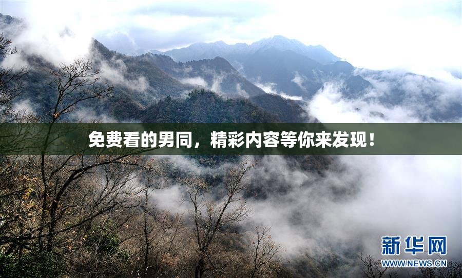 免费看的男同，精彩内容等你来发现！