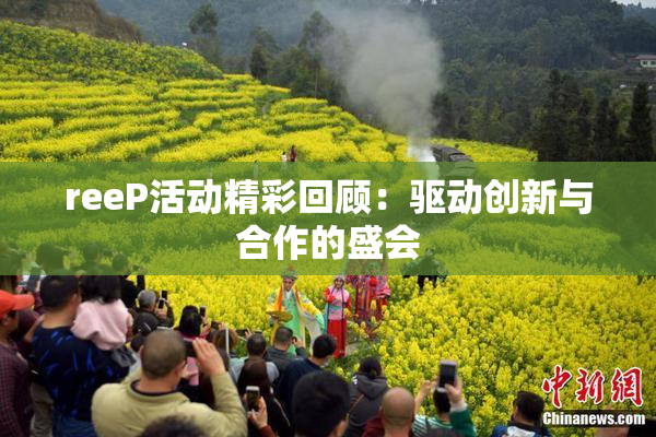 reeP活动精彩回顾：驱动创新与合作的盛会