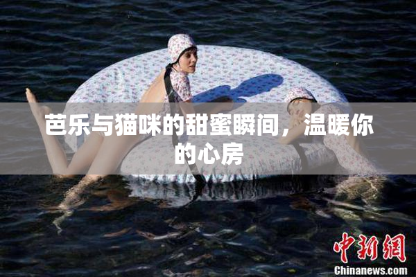 芭乐与猫咪的甜蜜瞬间，温暖你的心房