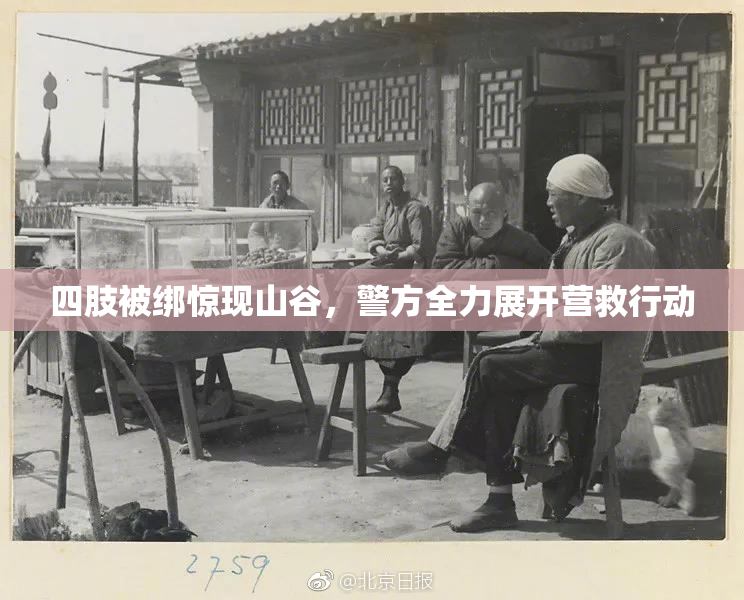 四肢被绑惊现山谷，警方全力展开营救行动