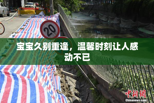 宝宝久别重逢，温馨时刻让人感动不已