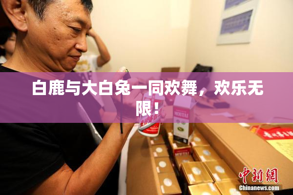 白鹿与大白兔一同欢舞，欢乐无限！