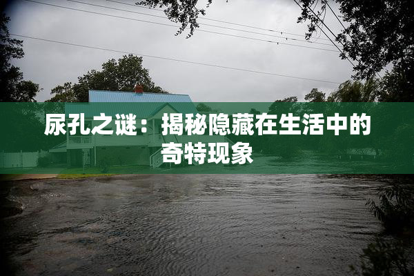 尿孔之谜：揭秘隐藏在生活中的奇特现象