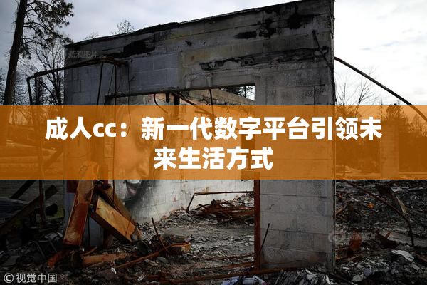 成人cc：新一代数字平台引领未来生活方式