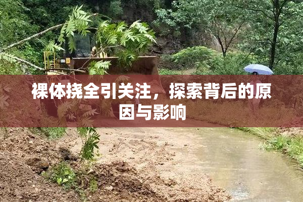 裸体挠全引关注，探索背后的原因与影响
