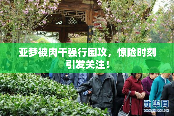 亚梦被肉干强行围攻，惊险时刻引发关注！