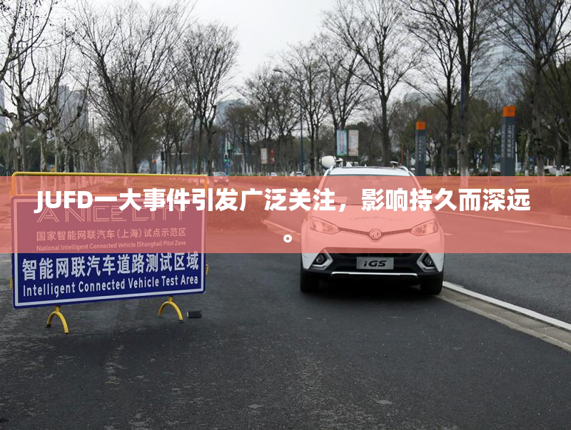 JUFD一大事件引发广泛关注，影响持久而深远。
