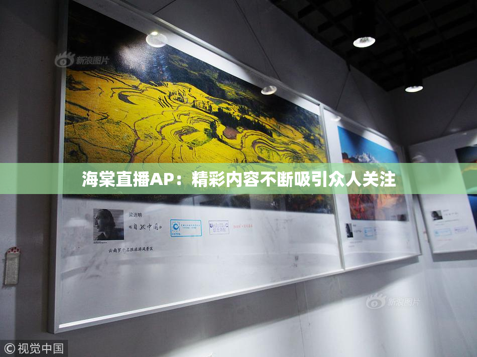 海棠直播AP：精彩内容不断吸引众人关注
