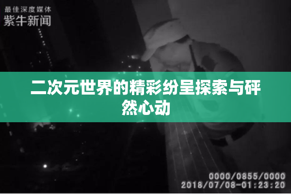 二次元世界的精彩纷呈探索与砰然心动