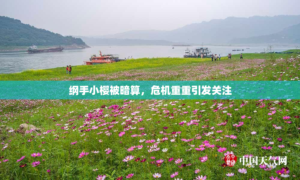 纲手小樱被暗算，危机重重引发关注