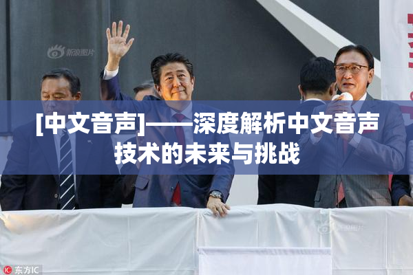 [中文音声]——深度解析中文音声技术的未来与挑战