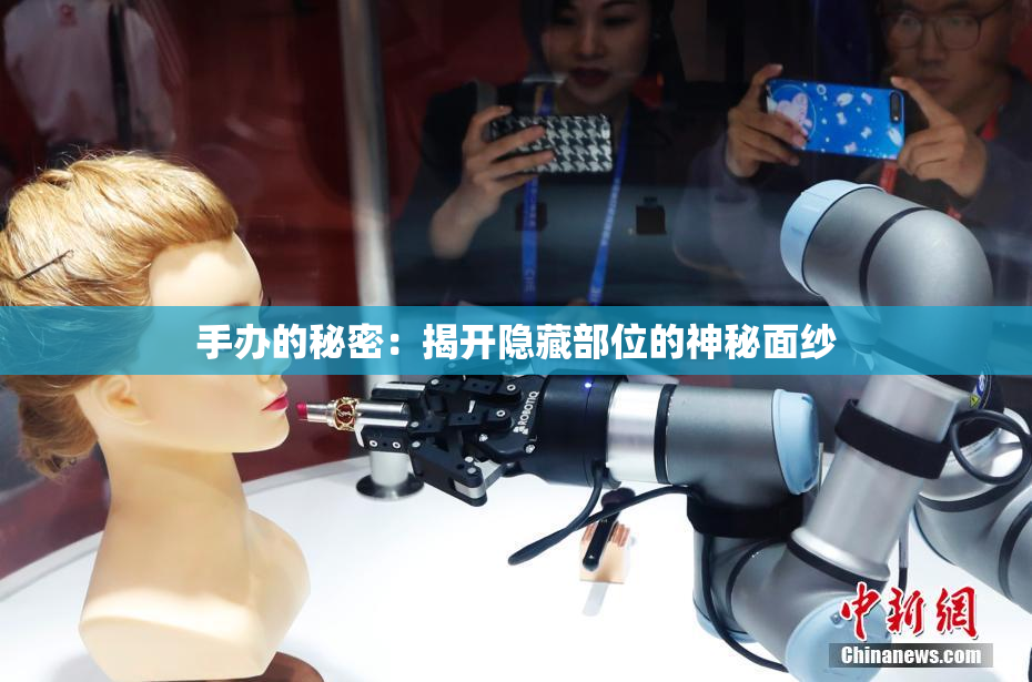 手办的秘密：揭开隐藏部位的神秘面纱