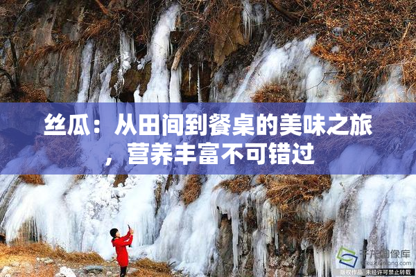 丝瓜：从田间到餐桌的美味之旅，营养丰富不可错过