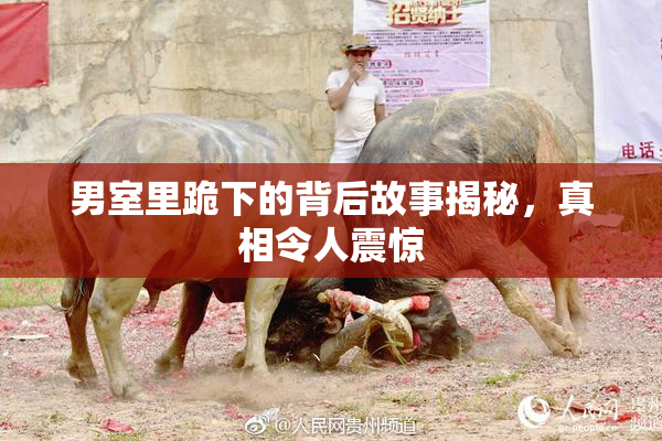 男室里跪下的背后故事揭秘，真相令人震惊
