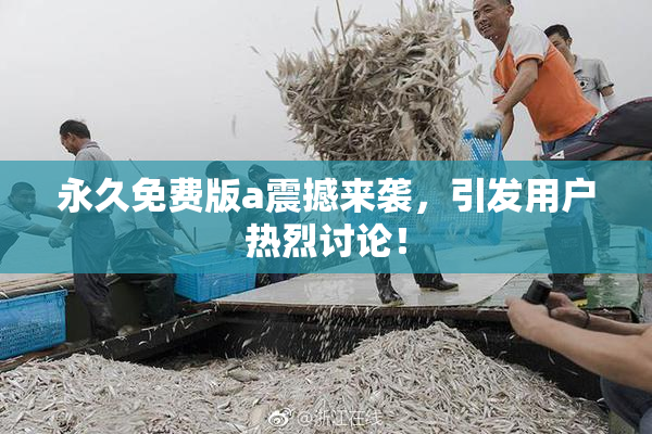 永久免费版a震撼来袭，引发用户热烈讨论！