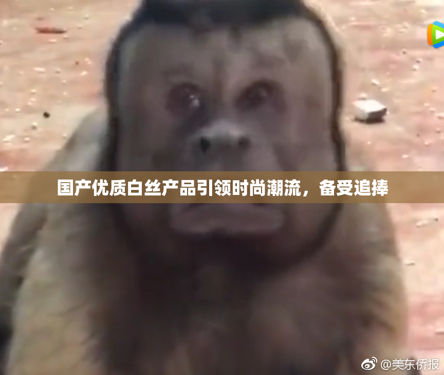 国产优质白丝产品引领时尚潮流，备受追捧