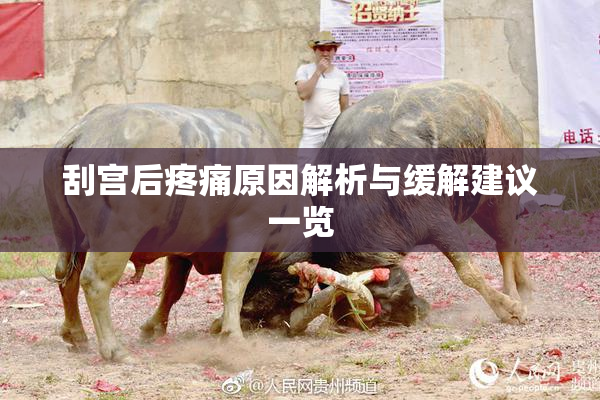 刮宫后疼痛原因解析与缓解建议一览