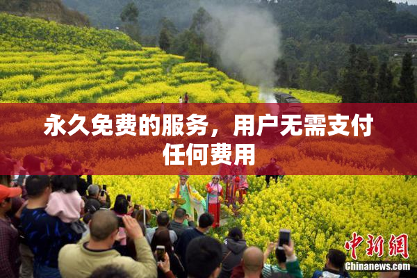 永久免费的服务，用户无需支付任何费用