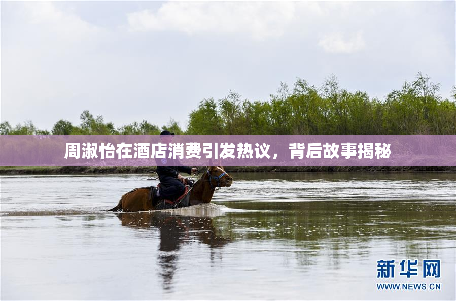 周淑怡在酒店消费引发热议，背后故事揭秘