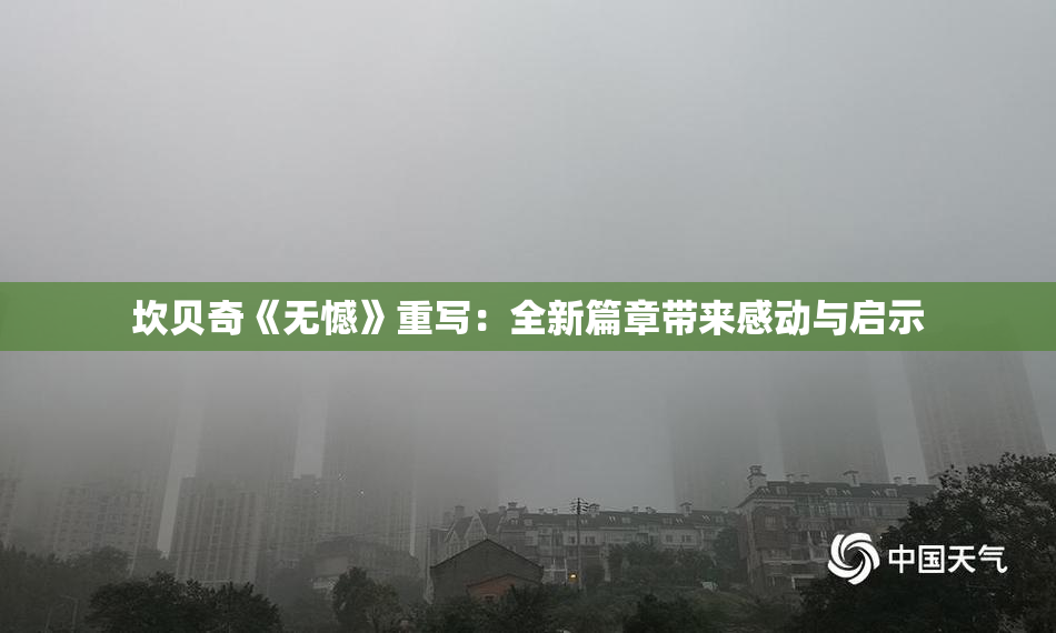 坎贝奇《无憾》重写：全新篇章带来感动与启示