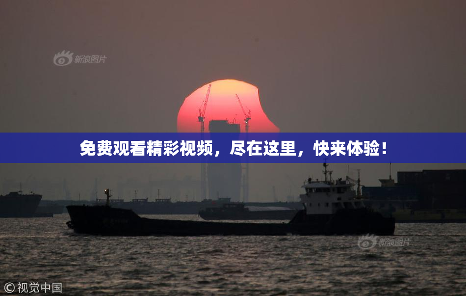 免费观看精彩视频，尽在这里，快来体验！