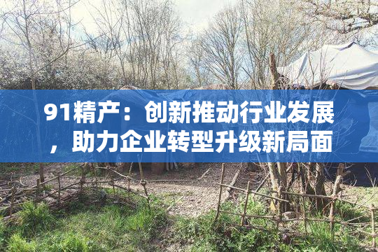 91精产：创新推动行业发展，助力企业转型升级新局面