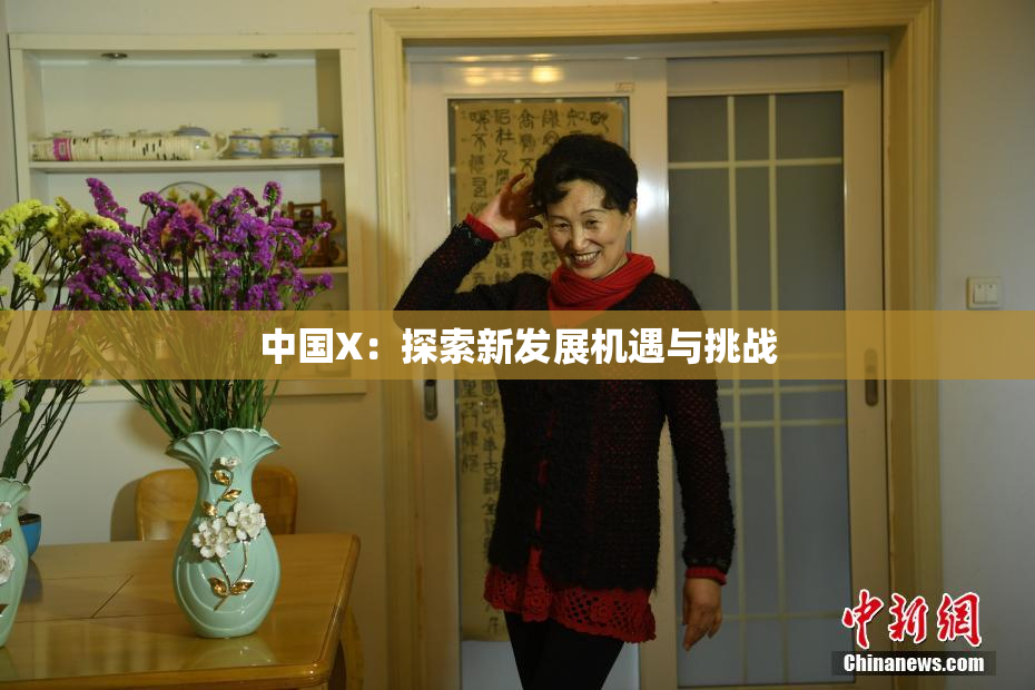 中国X：探索新发展机遇与挑战