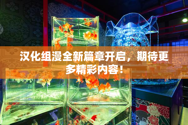 汉化组漫全新篇章开启，期待更多精彩内容！