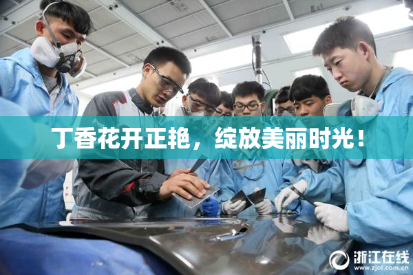 丁香花开正艳，绽放美丽时光！