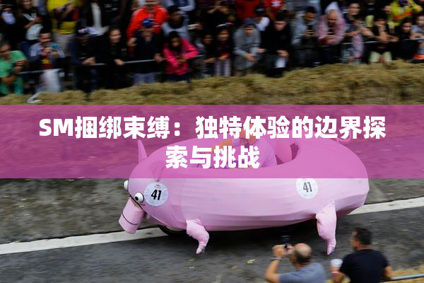 SM捆绑束缚：独特体验的边界探索与挑战