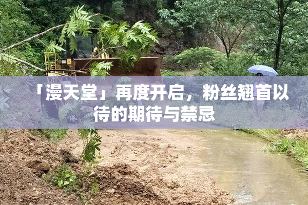 「漫天堂」再度开启，粉丝翘首以待的期待与禁忌