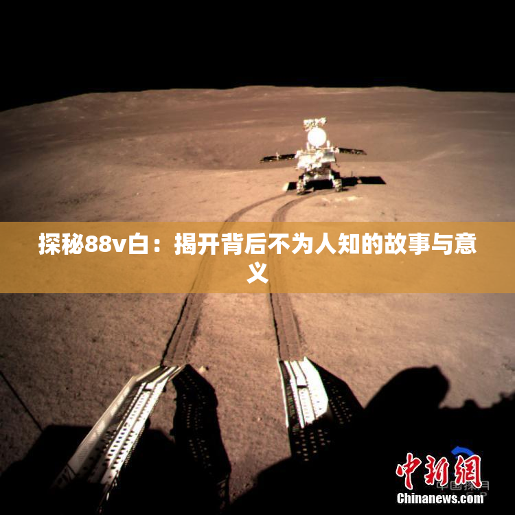 探秘88v白：揭开背后不为人知的故事与意义