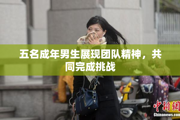 五名成年男生展现团队精神，共同完成挑战