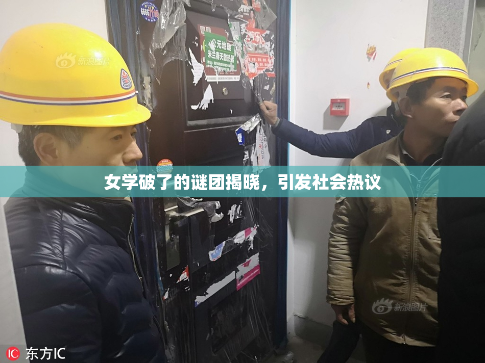 女学破了的谜团揭晓，引发社会热议