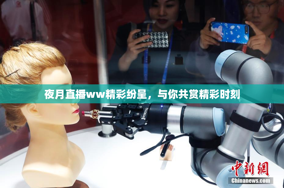 夜月直播ww精彩纷呈，与你共赏精彩时刻