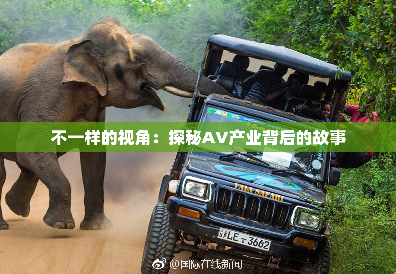 不一样的视角：探秘AV产业背后的故事