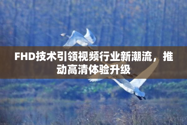 FHD技术引领视频行业新潮流，推动高清体验升级