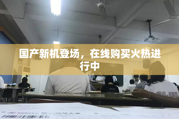 国产新机登场，在线购买火热进行中