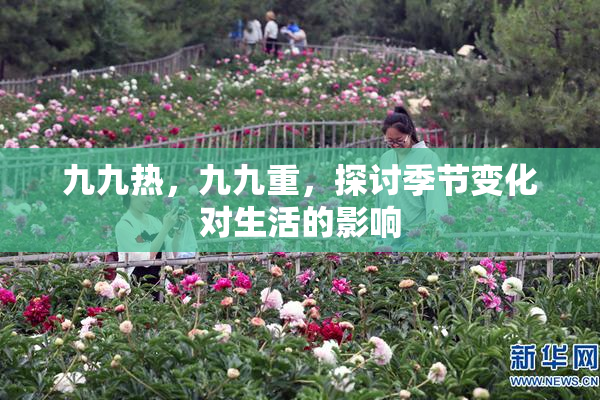 九九热，九九重，探讨季节变化对生活的影响