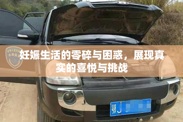 妊娠生活的零碎与困惑，展现真实的喜悦与挑战