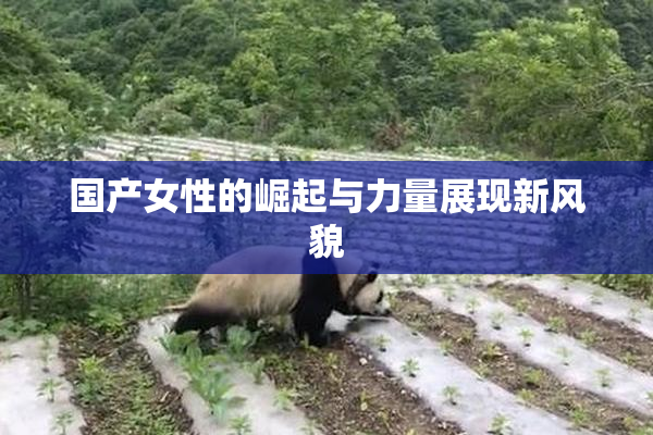 国产女性的崛起与力量展现新风貌