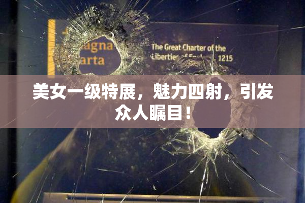 美女一级特展，魅力四射，引发众人瞩目！