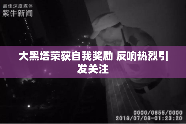 大黑塔荣获自我奖励 反响热烈引发关注